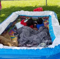 Ann Luangco Edwards's profile image