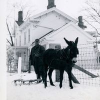 Ruth Strawser's profile image