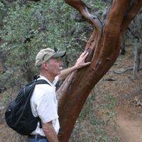 Bobby Joyner's profile image