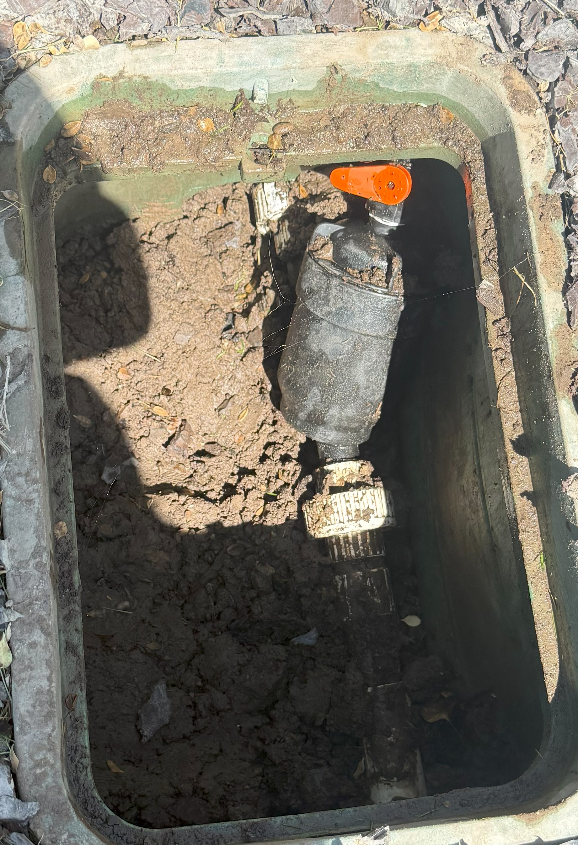 Sherry “Momma Bear” S.'s post 1