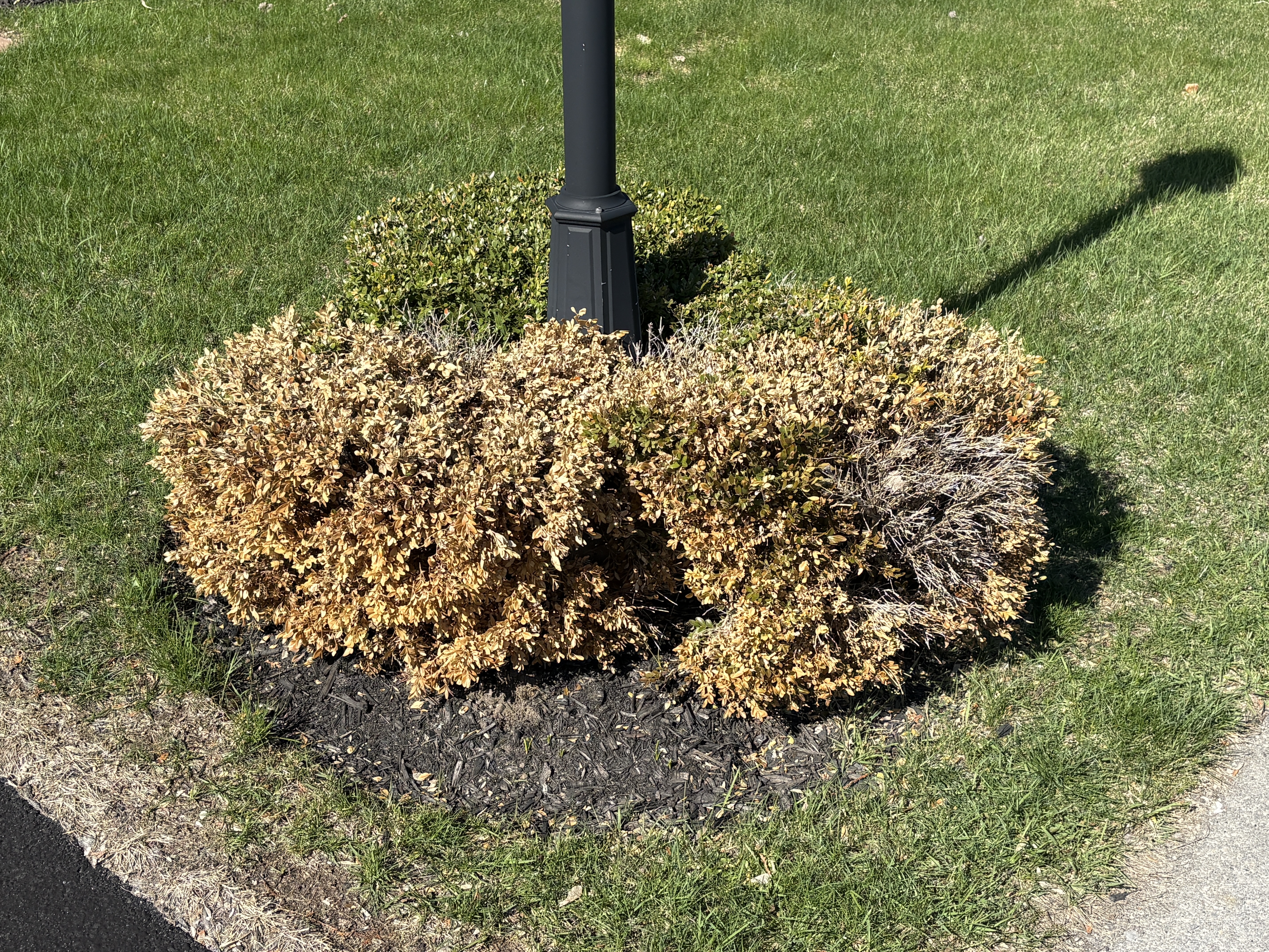 Paul S.'s post 3