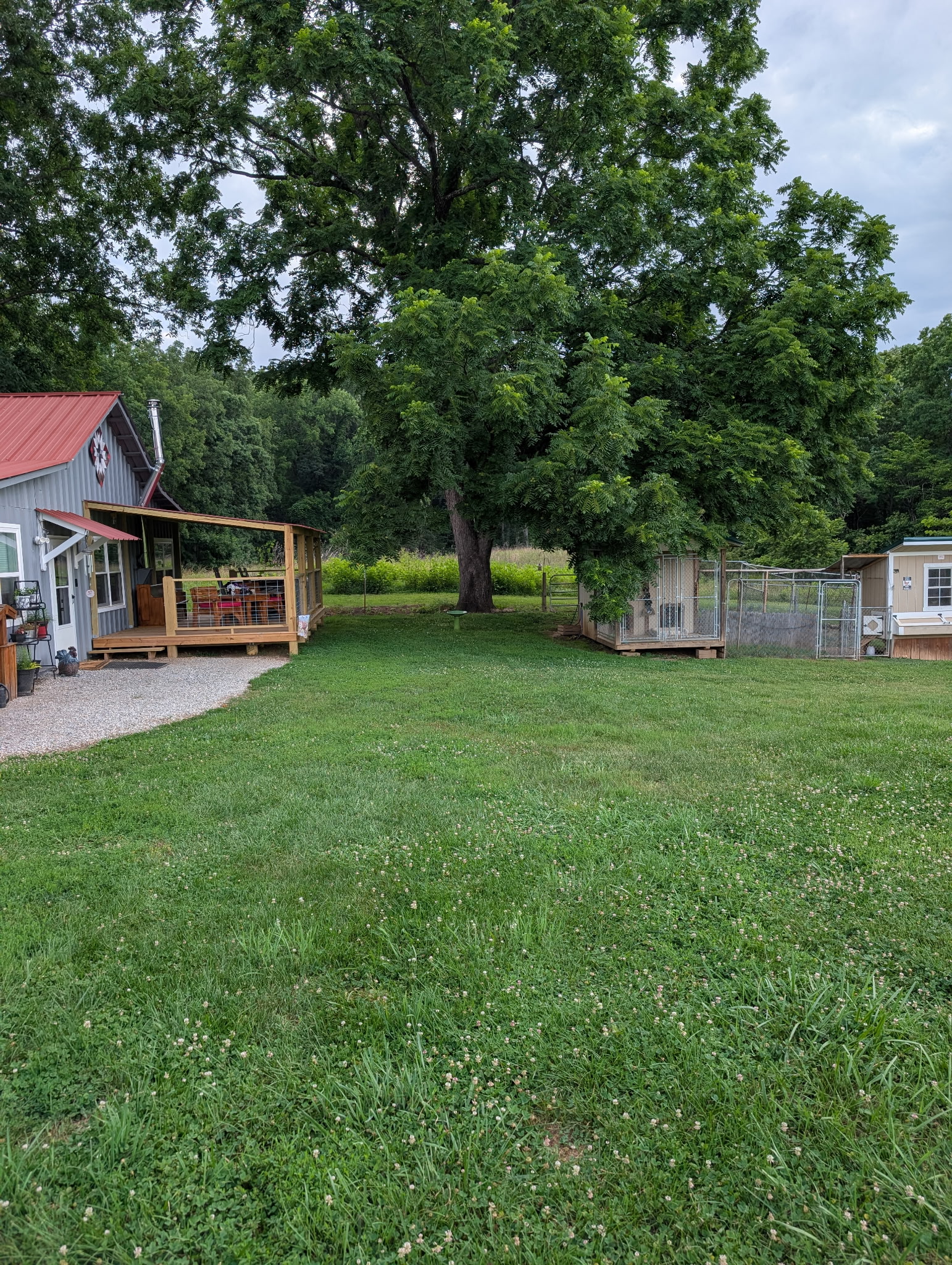 Tim M.'s post 1