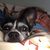 Pam Bucey's profile image