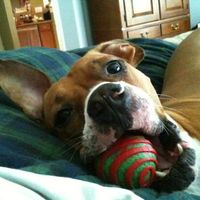 Debbie Bell Alaniz's profile image