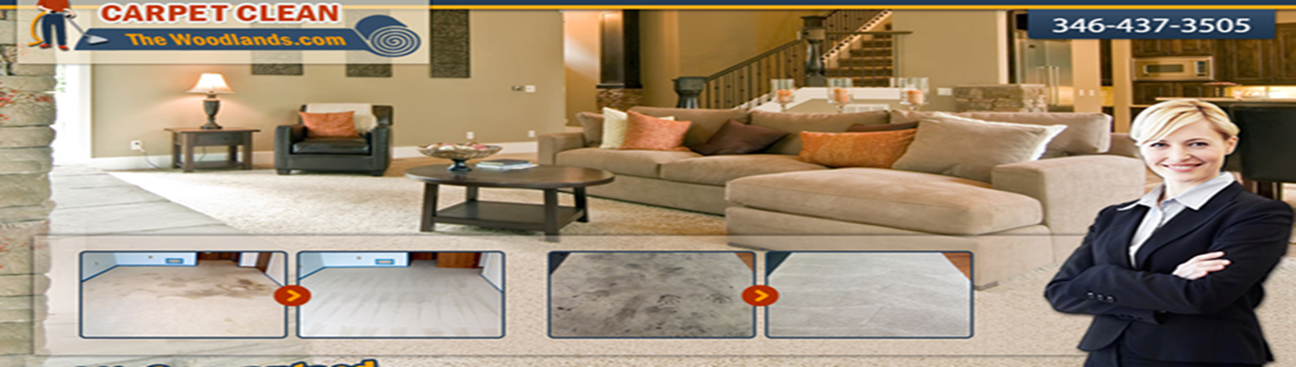 Carpet Cleaning the Woodlands's cover image
