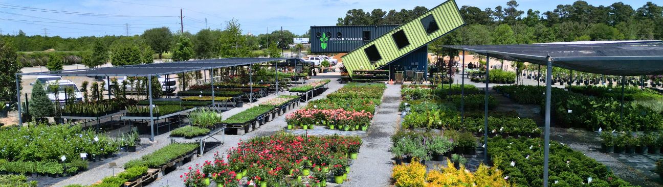 Beyond Paradise Nursery's cover image