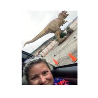 Bella Pesina's profile image