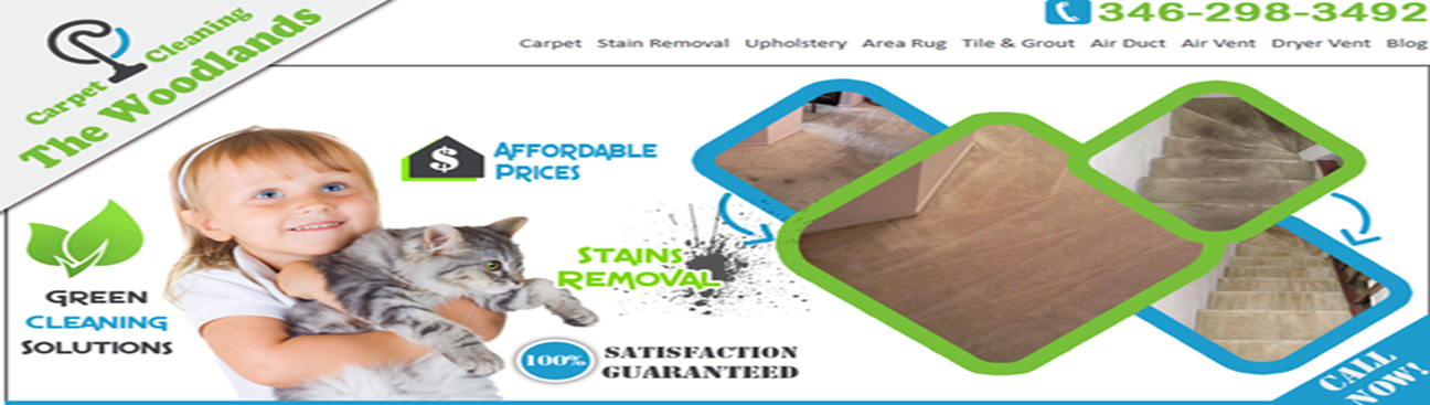 Carpet Cleaning the Woodlands's cover image