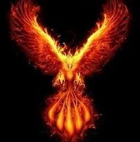 DA Phoenix's profile image