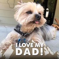 Tom Hardie's profile image