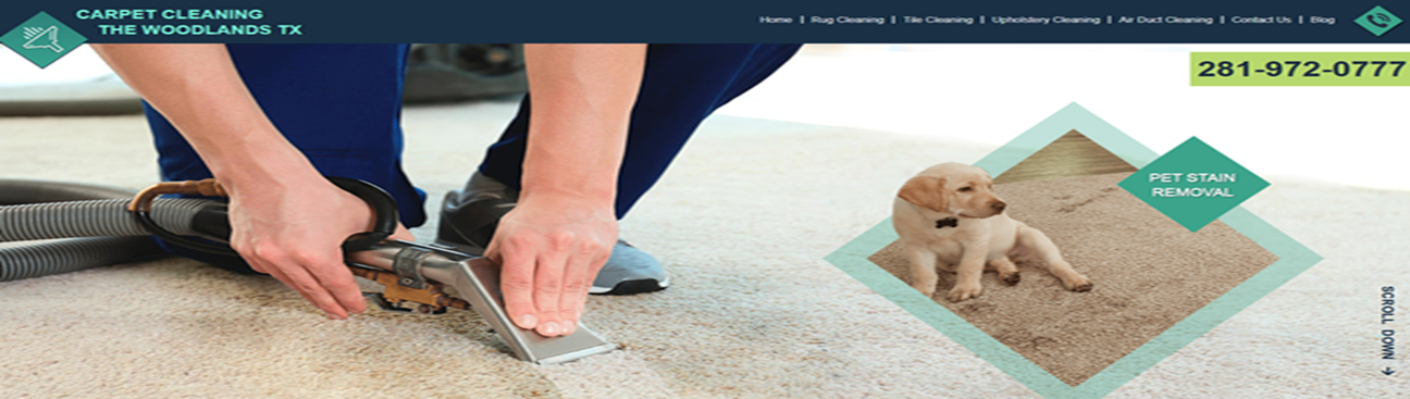 Steam Carpet Cleaning the Woodlands TX's cover image