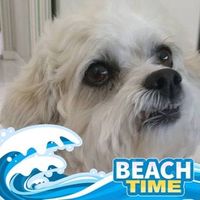 Rocky Freely's profile image