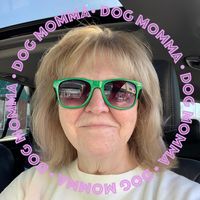 Carol Chandler-Eicherl's profile image