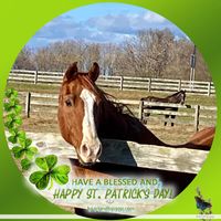 Susan Appleby's profile image