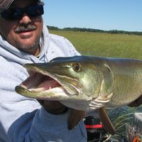 Bob Fertal's profile image