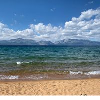 Debbie Miller's profile image