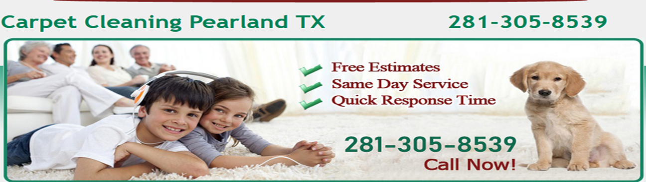 Carpet Cleaning Pearland TX's cover image