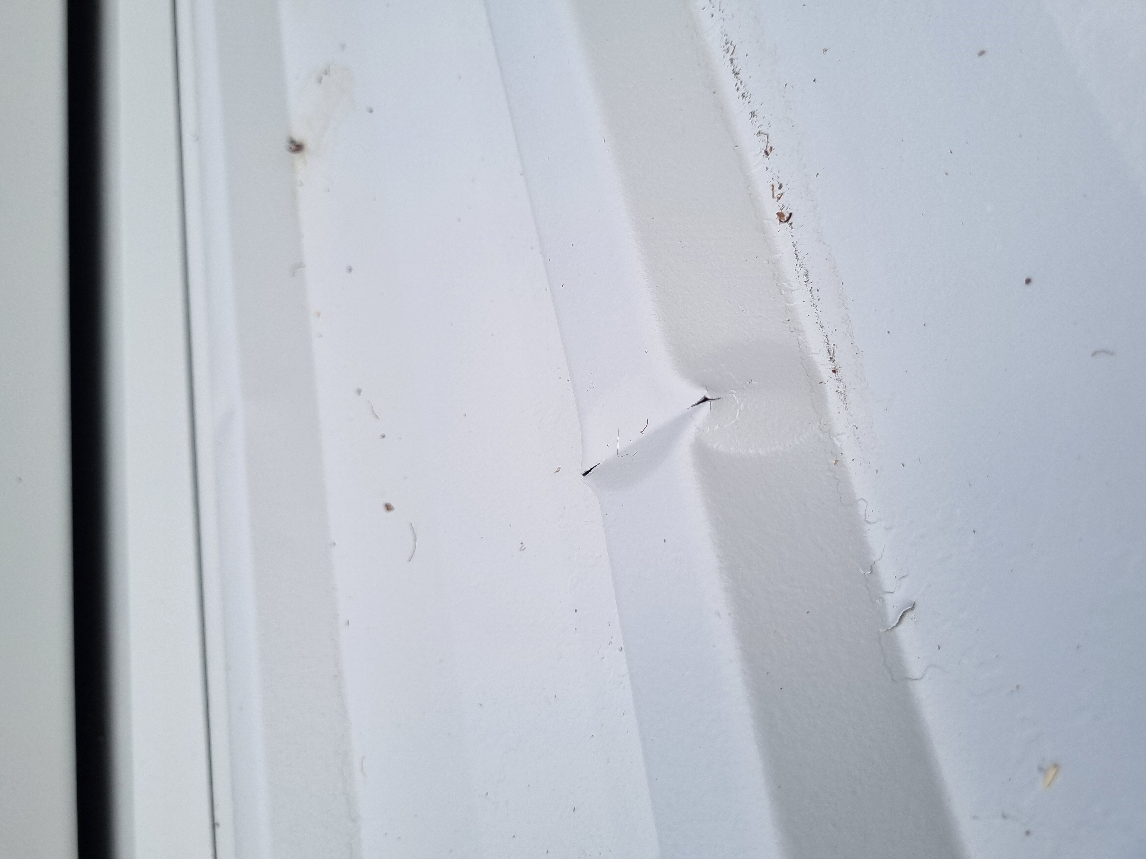 Jill D.'s post 2