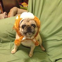Robbie Stanberry's profile image