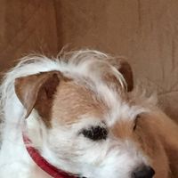 Doris DeBrock's profile image