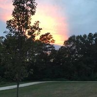 Jessica Volpe-Acquafredda's profile image