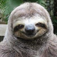 Tim Gray's profile image