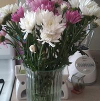 Amanda Mitchell's profile image