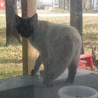James Edwards's profile image