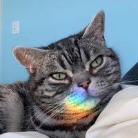 Colleen Bugaj's profile image