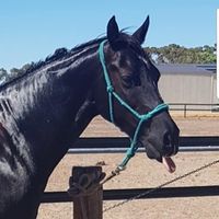 Jo Jo's profile image