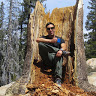 noe d.'s profile image