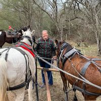 Devia Bowes's profile image