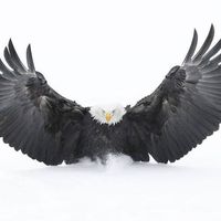 John Sullivan's profile image