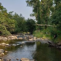 Baron Brown's profile image