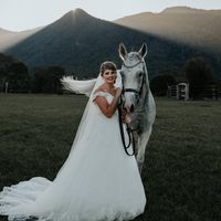 Amy Schiller's profile image