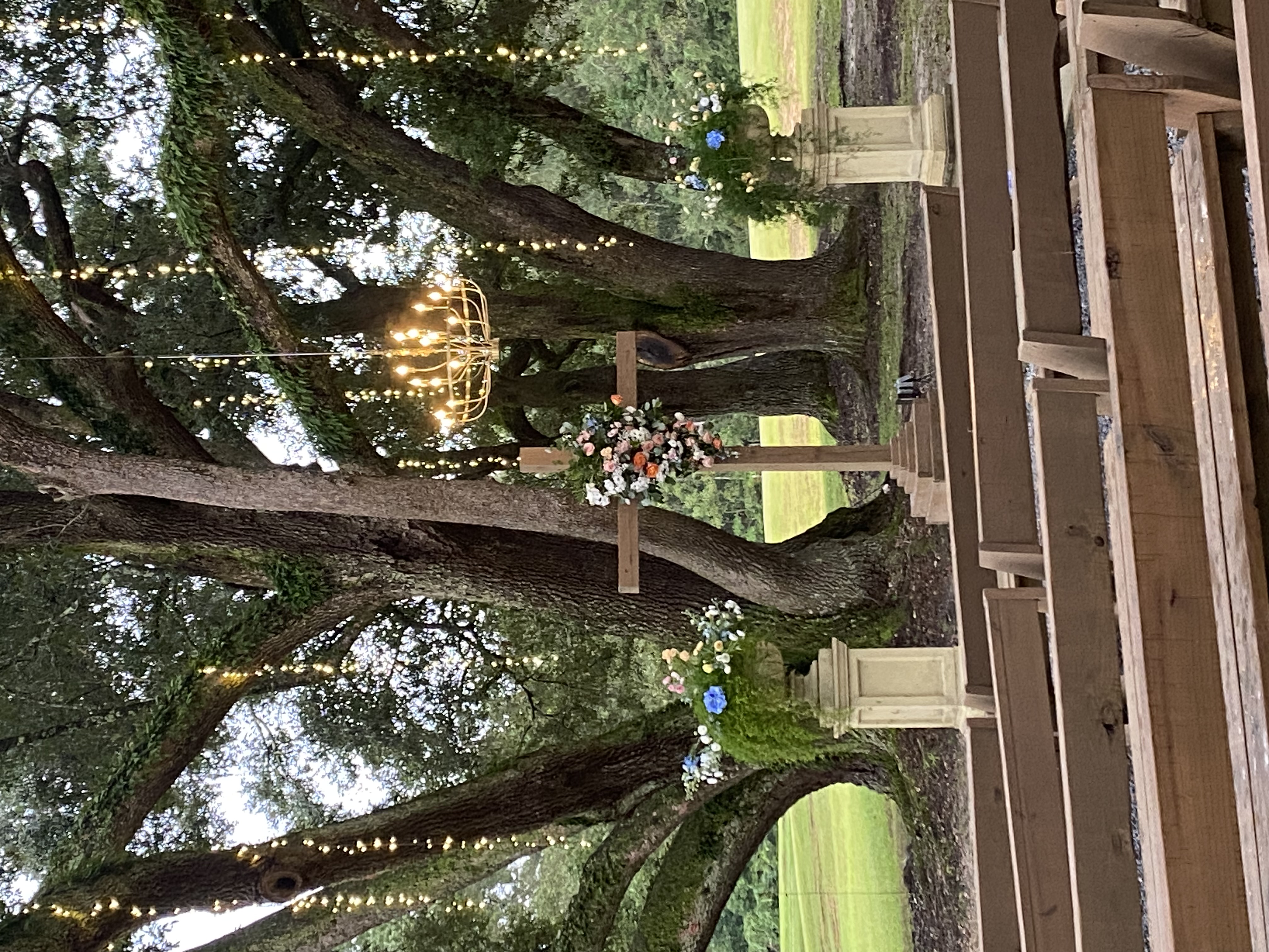 Shelly D.'s post 1