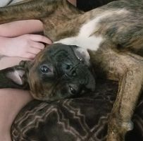 Heather Drollinger South's profile image