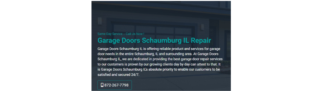 Garage Doors Schaumburg 1's cover image