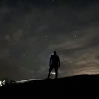 Tristan Roylance's profile image