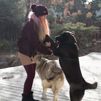 Brittany McClellan's profile image