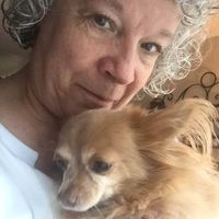 Kathy Newberg McCleary's profile image