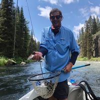 Drew Wells's profile image