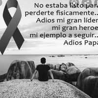 Neida Maria Quiroz's profile image