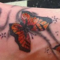 Summer Cattell's profile image