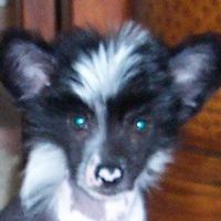 Debra Martin's profile image