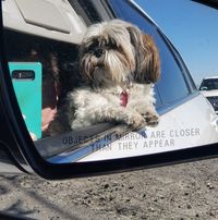 Bobbi Petersen's profile image