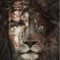 Stephanie Renee Boyd's profile image