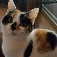 Bill Denise Cross's profile image