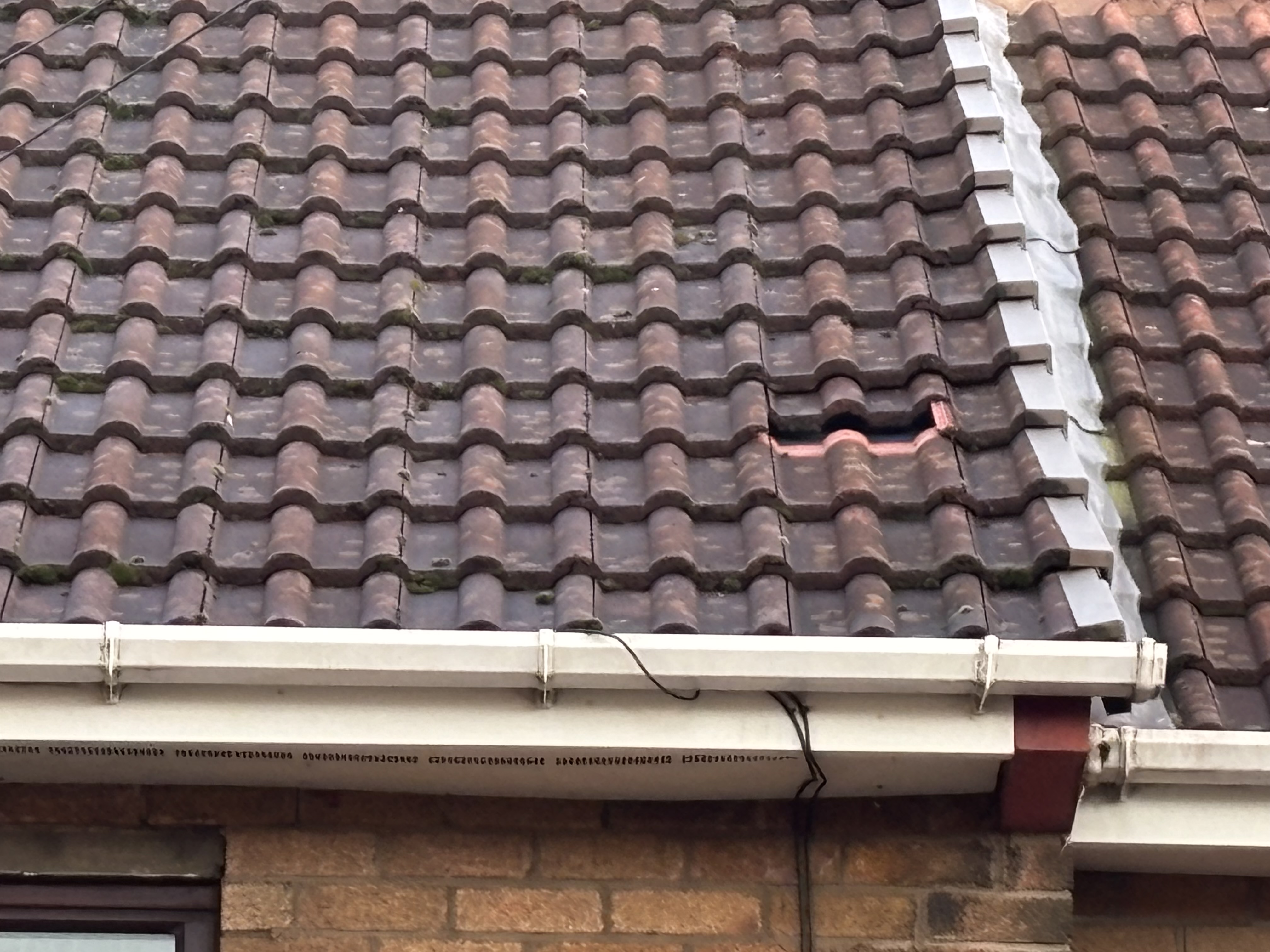 Margaret L.'s post 2