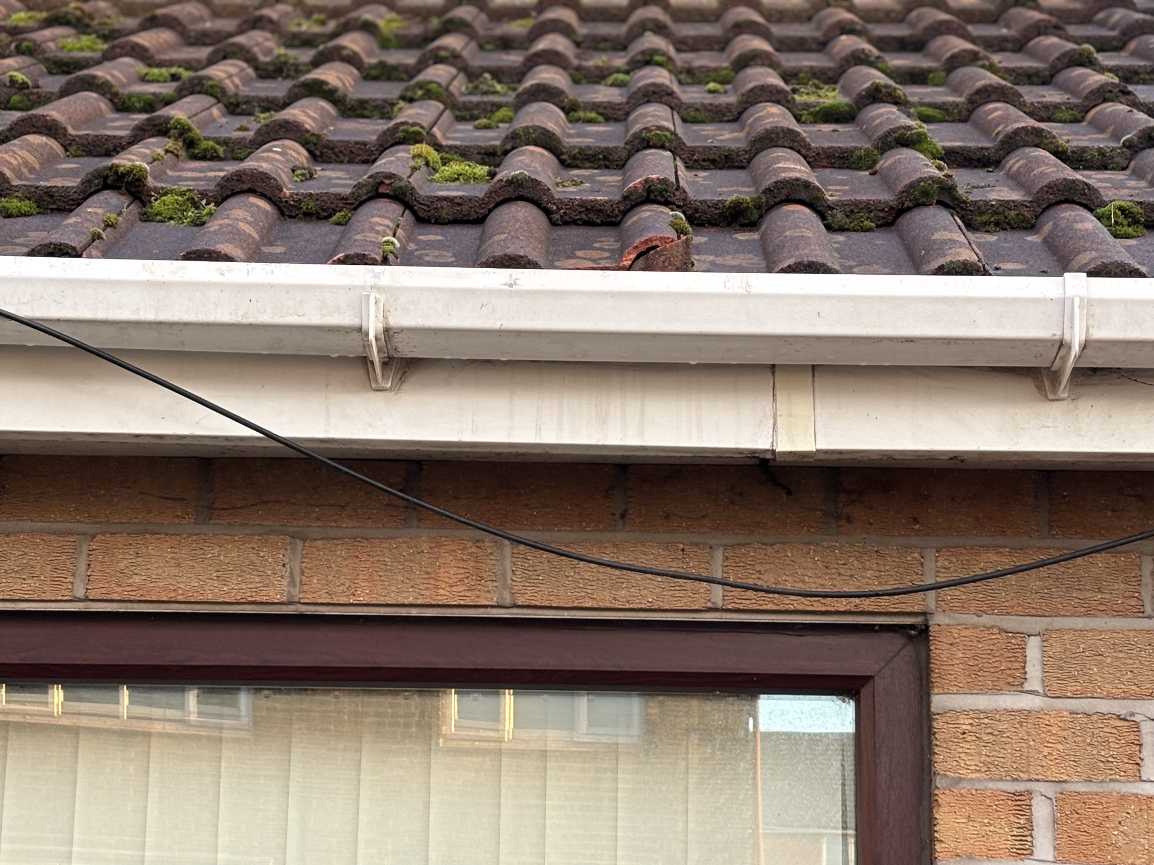 Margaret L.'s post 1